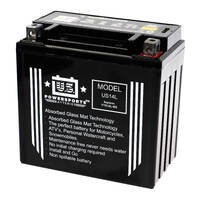 USPS AGM Battery - US14L