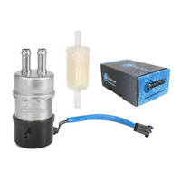 QUANTUM FRAME MOUNTED EFI FUEL PUMP WITH FUEL FILTER