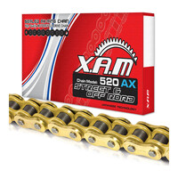 XAM 520AX X-Ring Chain - Gold / Gold