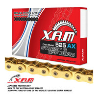 XAM 525AX X-Ring Chain - Gold / Gold